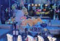 成都瑜伽招聘学徒文案（成都瑜伽导师招募：诚邀学徒加入）