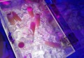 大行大量招聘文案（全面拓展人才版图：大行开启大规模招聘盛宴）