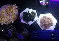 杭州翻台高的夜总会ktv招聘包厢服务员,怎么能多找一些客源